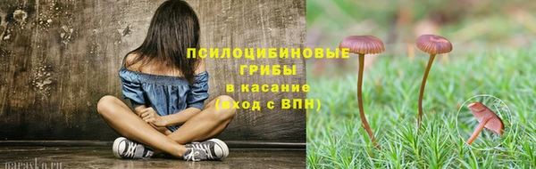 молекула духа Наволоки