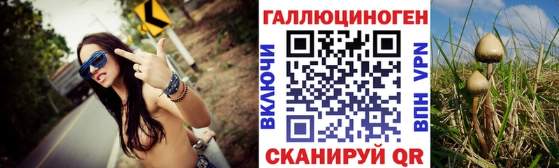 kraken ссылки  цена наркотик  Лениногорск  Галлюциногенные грибы Cubensis 