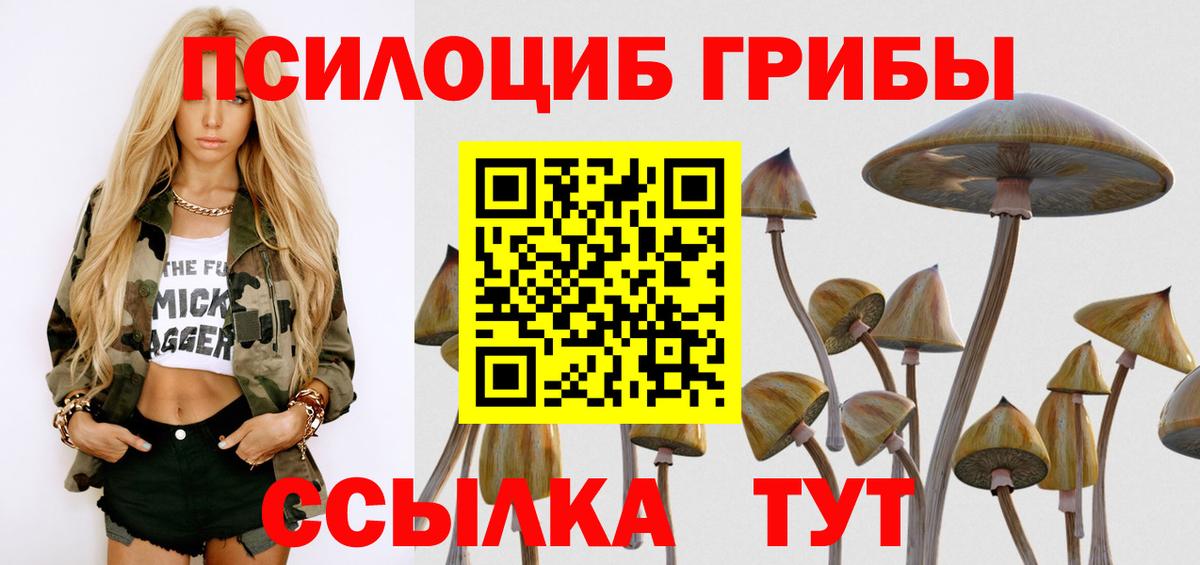 Галлюциногенные грибы прущие грибы  Вход с VPN  наркотики  Псилоцибиновые грибы Psilocybe  Лениногорск 